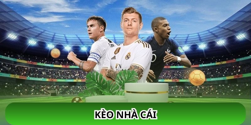 Top 5 lý do người chơi nên chọn trang kèo nhà cái Keonhacai.bz?