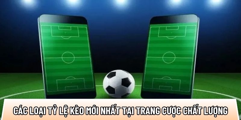 Trang chokeo1.me dự đoán kết quả chuẩn, chỉnh đến 90%+